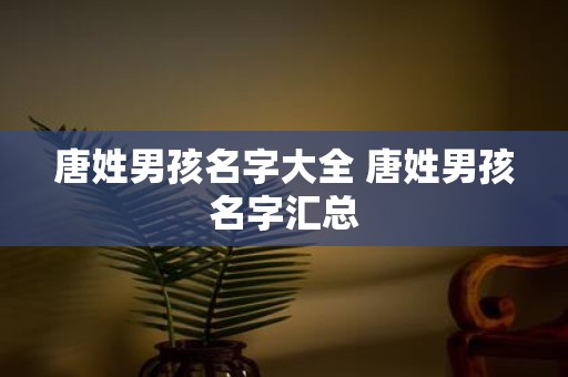 唐姓男孩名字大全 唐姓男孩名字汇总
