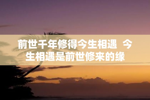 前世千年修得今生相遇 今生相遇是前世修来的缘