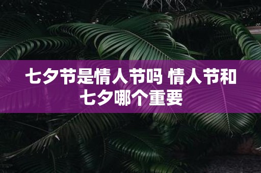 七夕节是情人节吗 情人节和七夕哪个重要