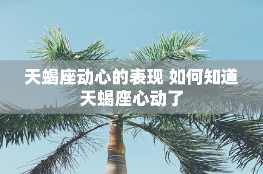 天蝎座动心的表现 如何知道天蝎座心动了