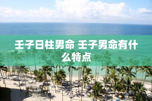 壬子日柱男命 壬子男命有什么特点
