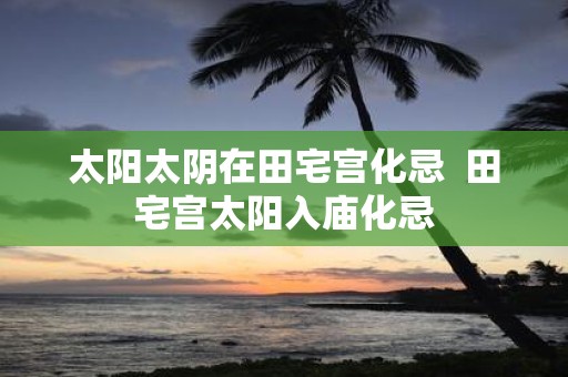 太阳太阴在田宅宫化忌 田宅宫太阳入庙化忌
