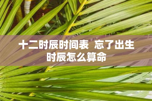 十二时辰时间表 忘了出生时辰怎么算命