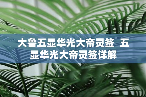 大鲁五显华光大帝灵签 五显华光大帝灵签详解