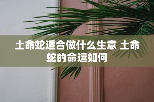 土命蛇适合做什么生意 土命蛇的命运如何