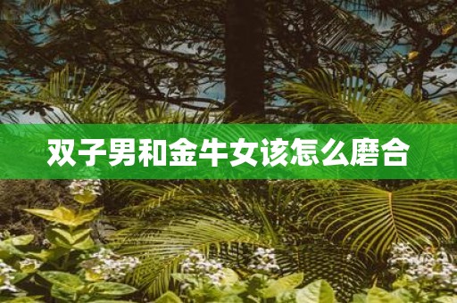双子男和金牛女该怎么磨合