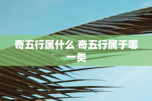 奇五行属什么 奇五行属于哪一类