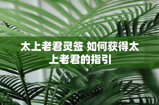 太上老君灵签 如何获得太上老君的指引