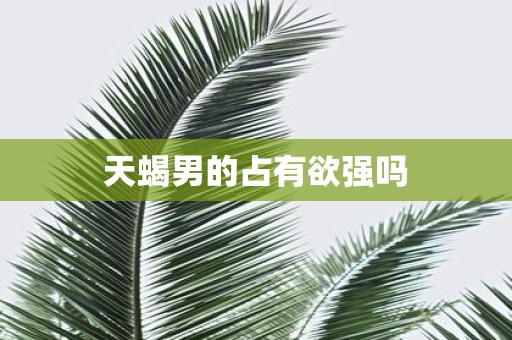 天蝎男的占有欲强吗