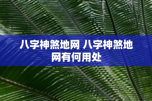 八字神煞地网 八字神煞地网有何用处