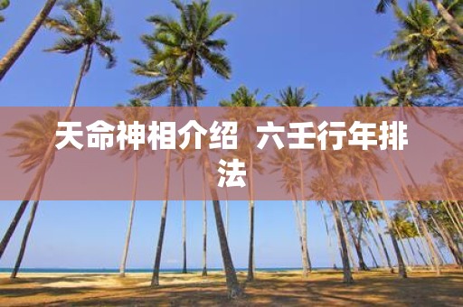 天命神相介绍 六壬行年排法