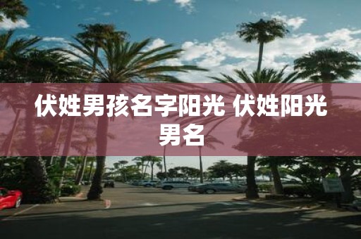 伏姓男孩名字阳光 伏姓阳光男名