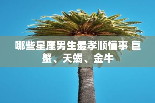 哪些星座男生最孝顺懂事 巨蟹、天蝎、金牛
