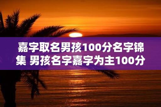 嘉字取名男孩100分名字锦集 男孩名字嘉字为主100分推荐