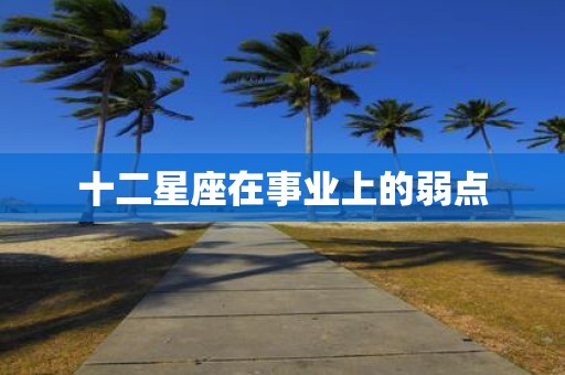 十二星座在事业上的弱点