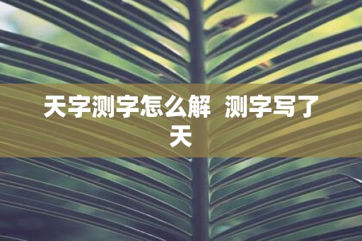 天字测字怎么解 测字写了天