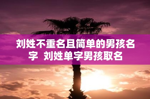 刘姓不重名且简单的男孩名字 刘姓单字男孩取名