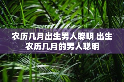 农历几月出生男人聪明 出生农历几月的男人聪明