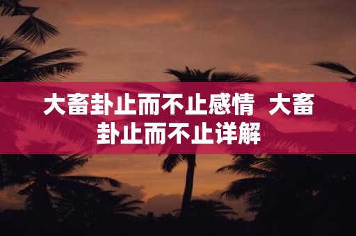 大畜卦止而不止感情 大畜卦止而不止详解
