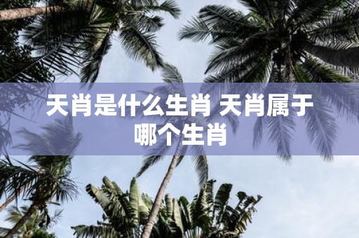 天肖是什么生肖 天肖属于哪个生肖