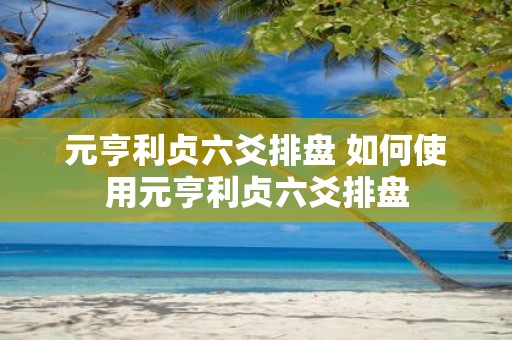 元亨利贞六爻排盘 如何使用元亨利贞六爻排盘