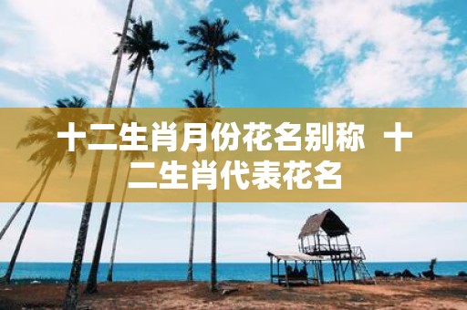 十二生肖月份花名别称 十二生肖代表花名