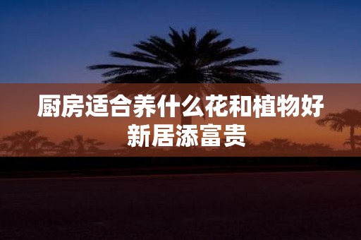 厨房适合养什么花和植物好 新居添富贵