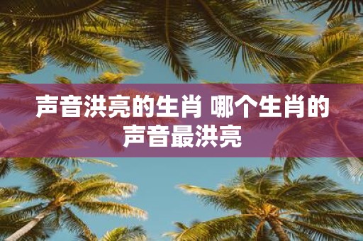 声音洪亮的生肖 哪个生肖的声音最洪亮