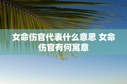 女命伤官代表什么意思 女命伤官有何寓意