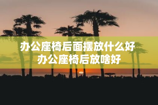 办公座椅后面摆放什么好 办公座椅后放啥好