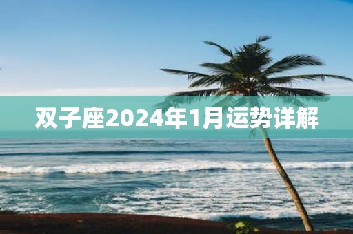 双子座2025年1月运势详解