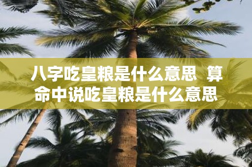 八字吃皇粮是什么意思 算命中说吃皇粮是什么意思