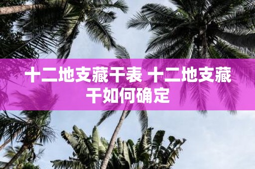十二地支藏干表 十二地支藏干如何确定