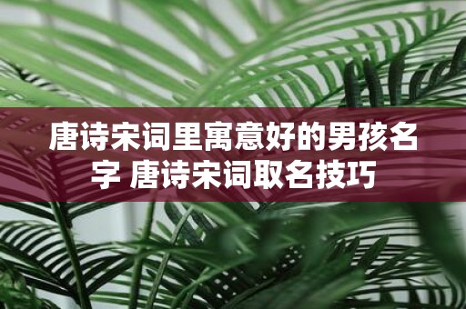 唐诗宋词里寓意好的男孩名字 唐诗宋词取名技巧