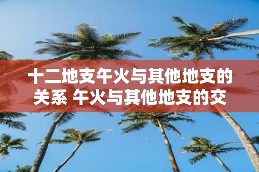 十二地支午火与其他地支的关系 午火与其他地支的交互影响如何