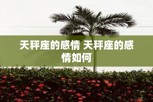 天秤座的感情 天秤座的感情如何