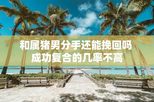 和属猪男分手还能挽回吗 成功复合的几率不高