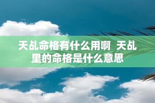 天乩命格有什么用啊 天乩里的命格是什么意思