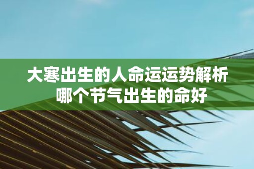 大寒出生的人命运运势解析 哪个节气出生的命好