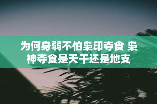 为何身弱不怕枭印夺食 枭神夺食是天干还是地支