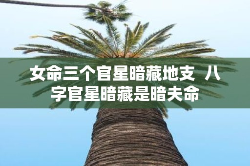 女命三个官星暗藏地支 八字官星暗藏是暗夫命