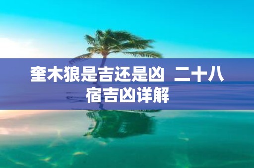 奎木狼是吉还是凶 二十八宿吉凶详解