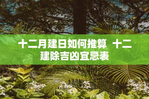 十二月建日如何推算 十二建除吉凶宜忌表
