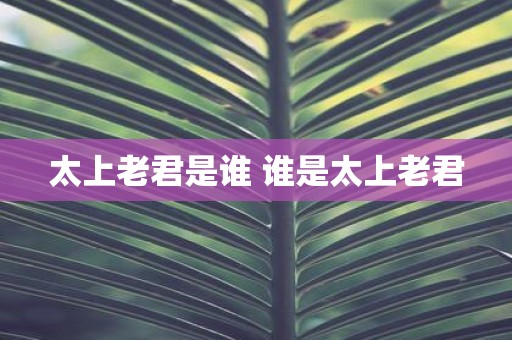 太上老君是谁 谁是太上老君