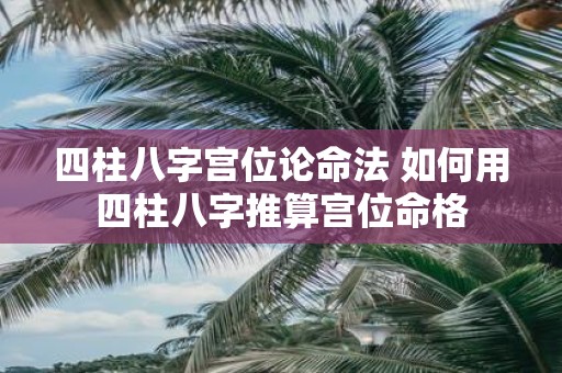 四柱八字宫位论命法 如何用四柱八字推算宫位命格