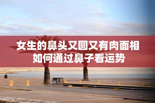 女生的鼻头又圆又有肉面相 如何通过鼻子看运势
