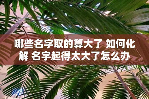 哪些名字取的算大了 如何化解 名字起得太大了怎么办