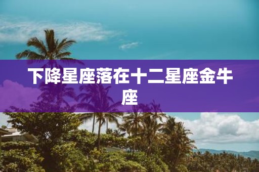 下降星座落在十二星座金牛座