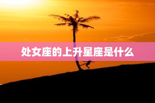 处女座的上升星座是什么