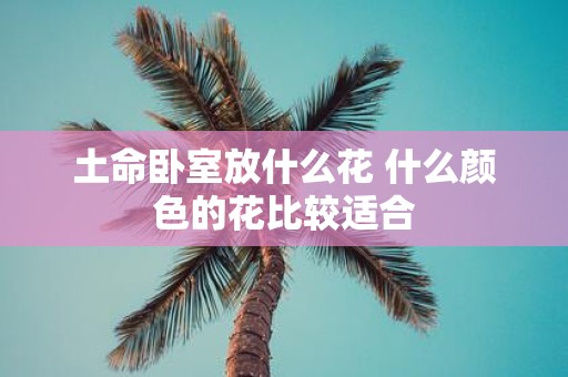 土命卧室放什么花 什么颜色的花比较适合